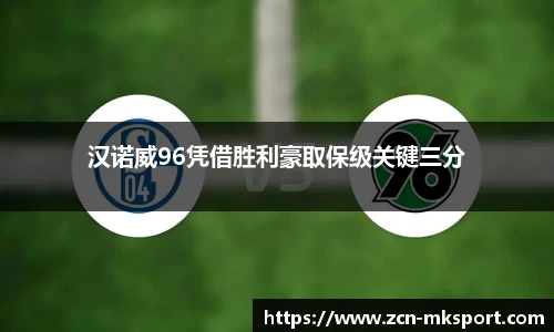 汉诺威96凭借胜利豪取保级关键三分